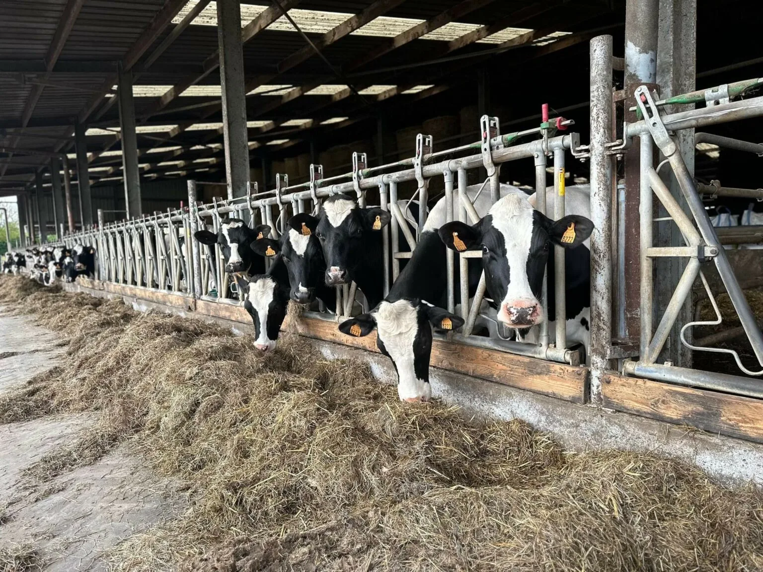 La Ferme Pype - Vue extérieure